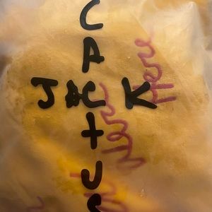 Travis Scott Astroworld wish you were here tour hoodie